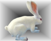 Pet the Rabbit | Anim.3P