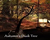 KC~Autumns Dusk Tree