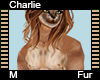Charlie Fur M V1