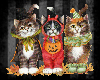 *aw Halloween Cat TRIO