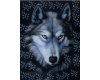 Mystical Blue Wolf