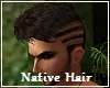 Native Hair