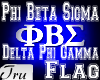 PBS Delta Phi Gamma Flag