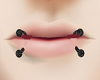 SL Dual Lip Piercing