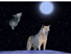 Mystical White Wolf