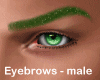 purpurin brows green - M