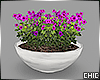!T! Flower Bowl Pot