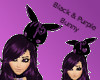 Black & Purple Bunny