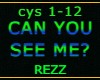 CAN YOU SEE ME?