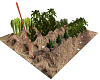 Vegetable garden