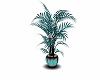 teal and black plant, 