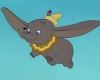 Elephant Fly - Dumbo