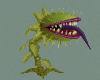 Monster Plant