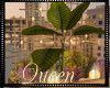 !Q M Plant Divider