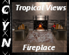 Tropical Views Fireplace