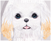 $K Cute Puppy