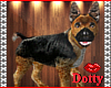 :D: iLL German Pup (BC)