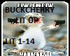 BuckCherry -Lit Up-