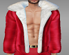 Christmas layer coat