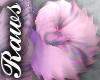 R| Sprinkles - Curly