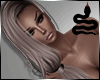 VIPER ~ Laces Bundle