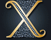 X SEDUCTION DRESS**