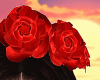Fiesta Rose Crown