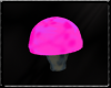 Pink Pixie mushroom