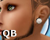 Q~L* Diamond Earrings 1