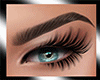 $ Sophia Eyebrow-01