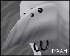 ☆| Chomp .