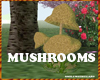 magic mushrooms:)