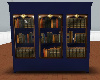 Haunted bookcase blue
