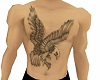 Eagle anyskin tat