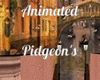 Animated Pidgeon's