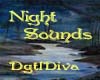 Nature at Night - Sounds