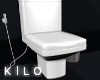 • Attic Toilet