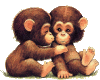 kiss monkeys