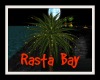~SB Rasta Bay Palm Tree