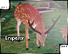 {e.e} Emperor G. Deers
