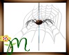 *M* Animated Spider