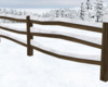 *Snowy Fence