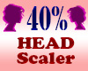 Resizer 40% Head