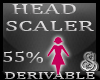 55% Head Resizer