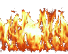 Animated Wild Fire
