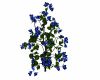 Blue Flowering Plant