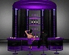 moder elegant purple bar