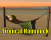 *Tropical Hammock