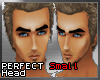 [B] Perfect Small Head