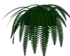 Gryffn Wall plant 2